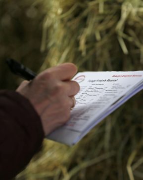 Forage pie charts